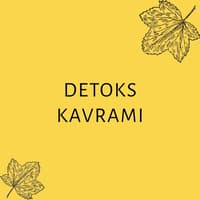 DETOKS KAVRAMI 