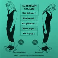 EGZERSİZ ETKİLERİ - DİYETİSYEN SENANUR ÇEVİK - ANKARA