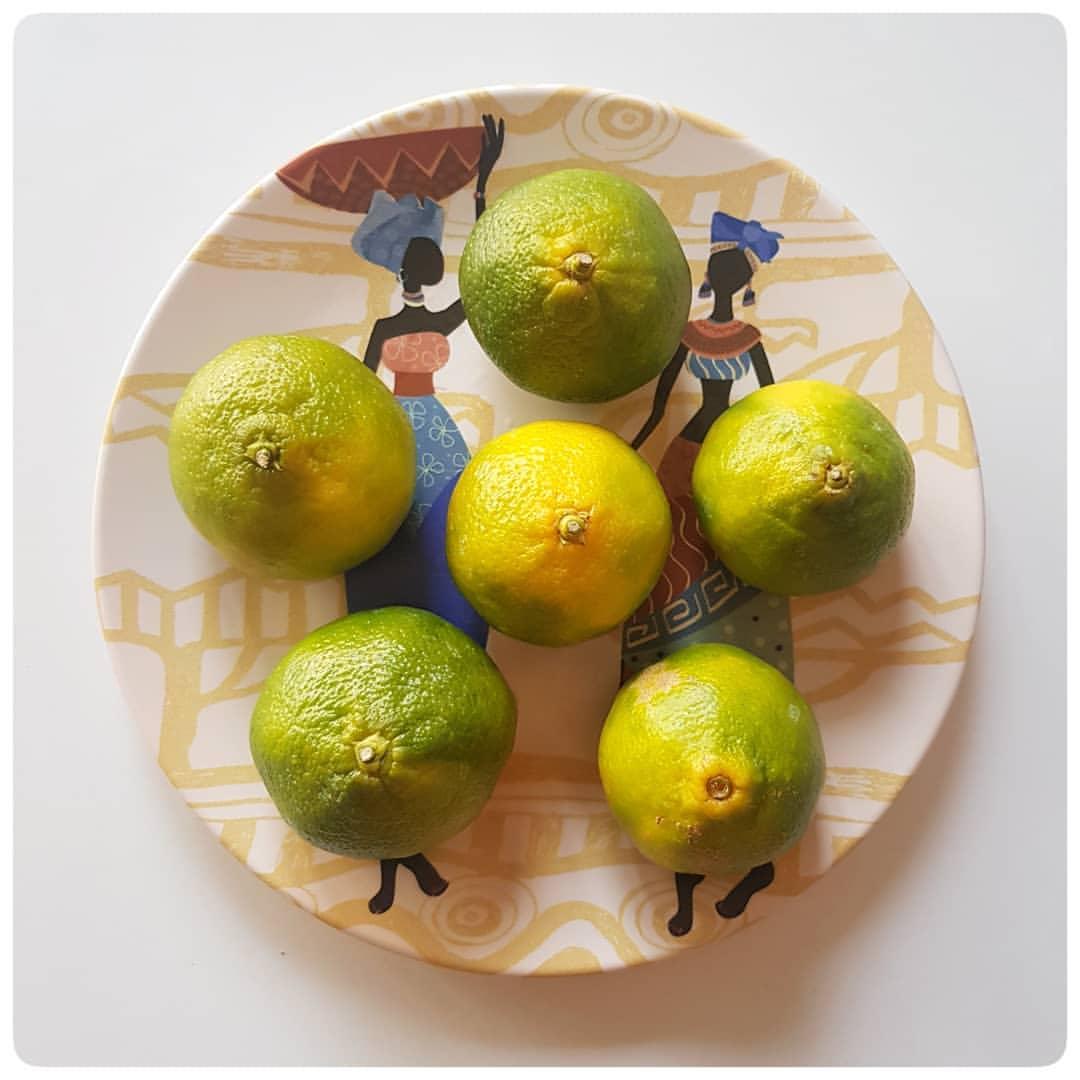 SEBZE MEYVE TÜKETİMİ - DİYETİSYEN SENANUR ÇEVİK - ANKARA