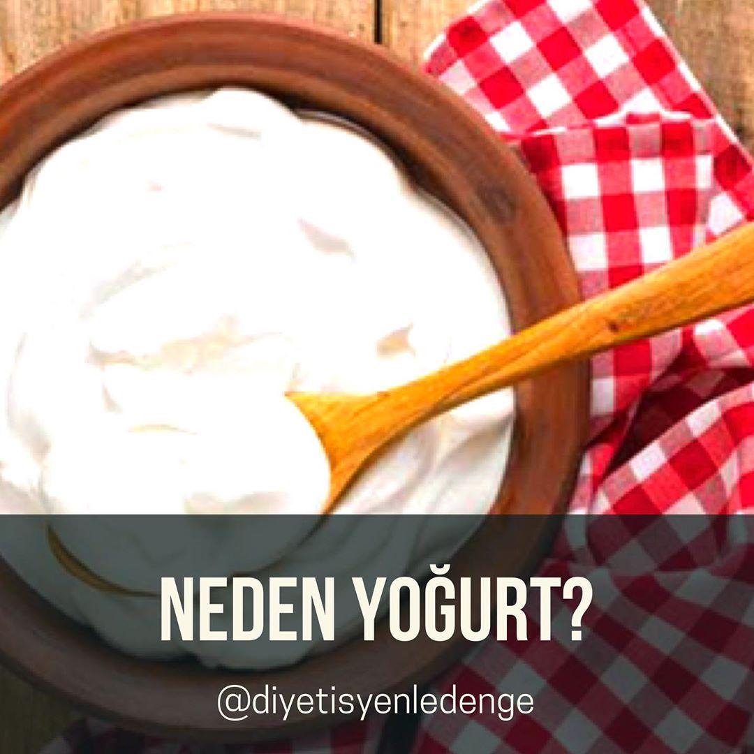 NEDEN YOĞURT? 