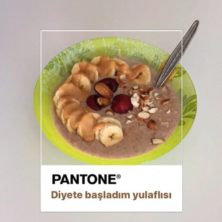 PANTONE - DİYETİSYEN BÜŞRA UZUN – ANKARA