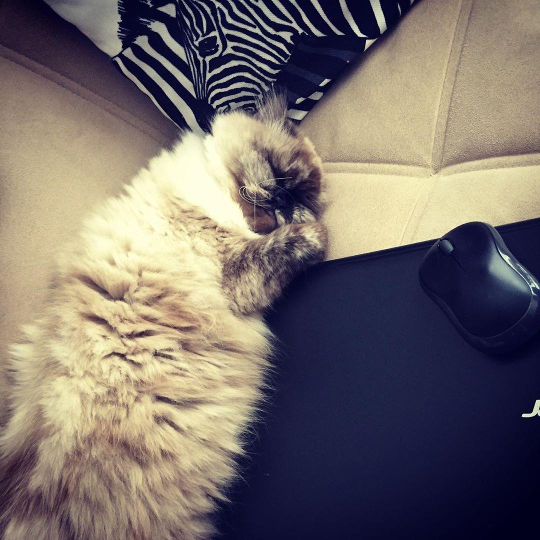 ENDİŞELERE TEPKİMİZ - DİYETİSYEN BÜŞRA UZUN – ANKARA