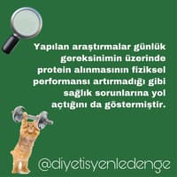 PROTEİN YARARLI OLDUĞU KADAR ZARARLI - DİYETİSYEN BÜŞRA UZUN – ANKARA