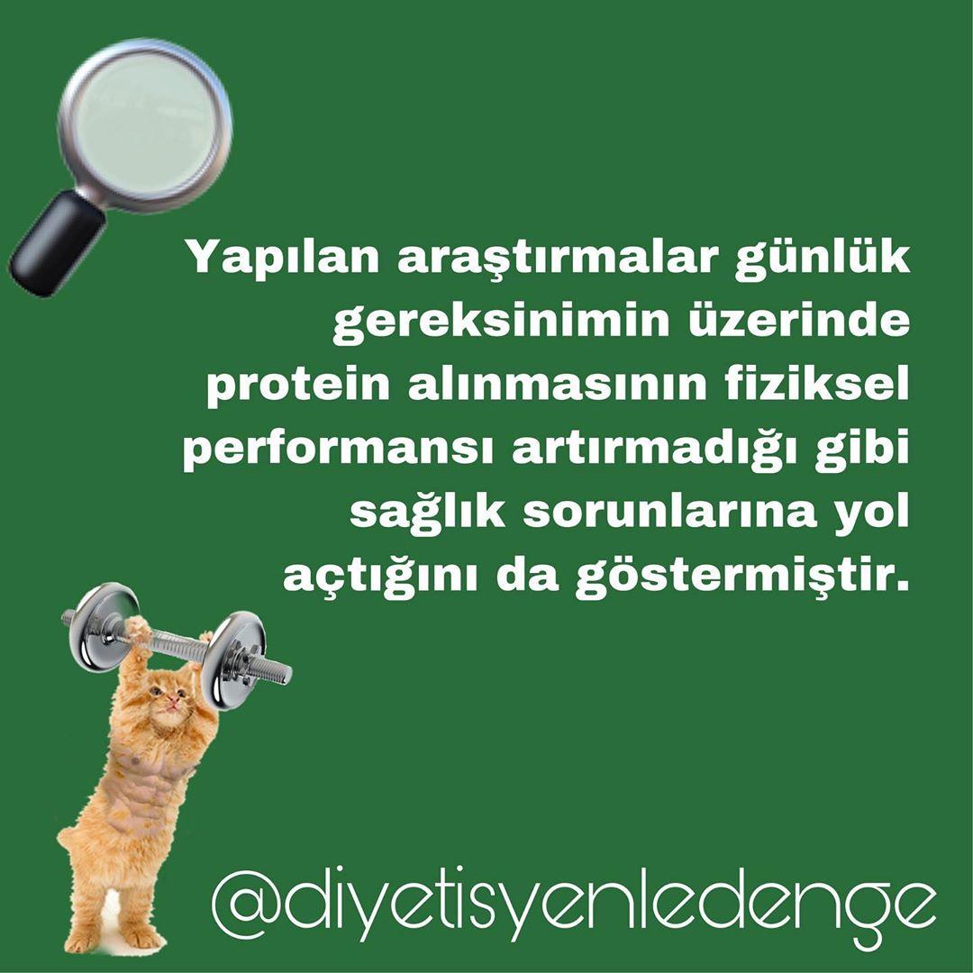 PROTEİN YARARLI OLDUĞU KADAR ZARARLI - DİYETİSYEN BÜŞRA UZUN – ANKARA