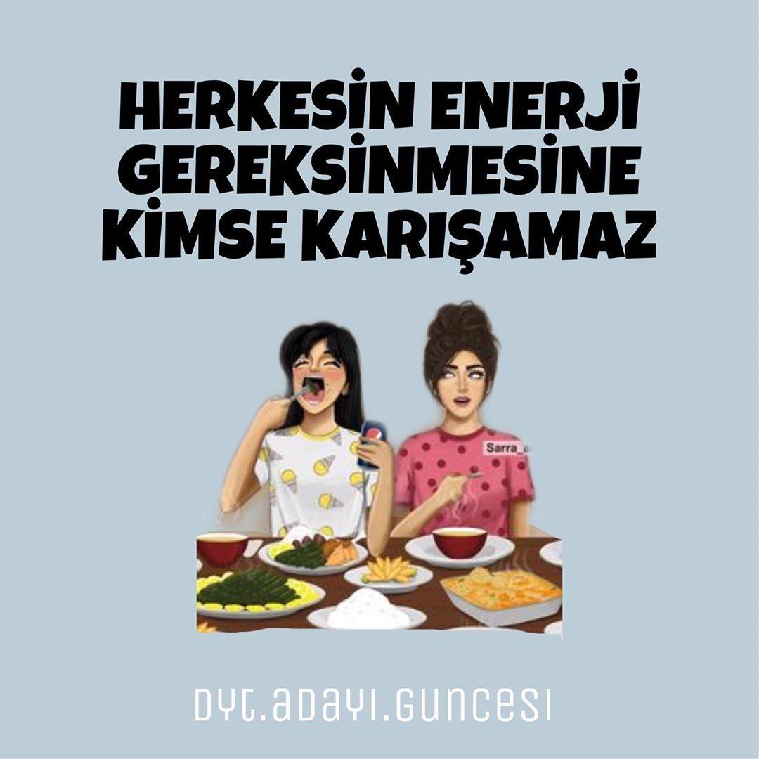 ENERJİ GEREKSİNİMİNE GÖRE YE 