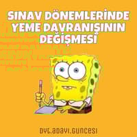 SINAV DÖNEMİNDE YEME DAVRANIŞI