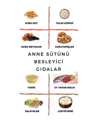 ANNE SÜTÜNÜ BESLEYİCİ GIDALAR - DİYETİSYEN ECEM MULLAOĞLU - ANKARA