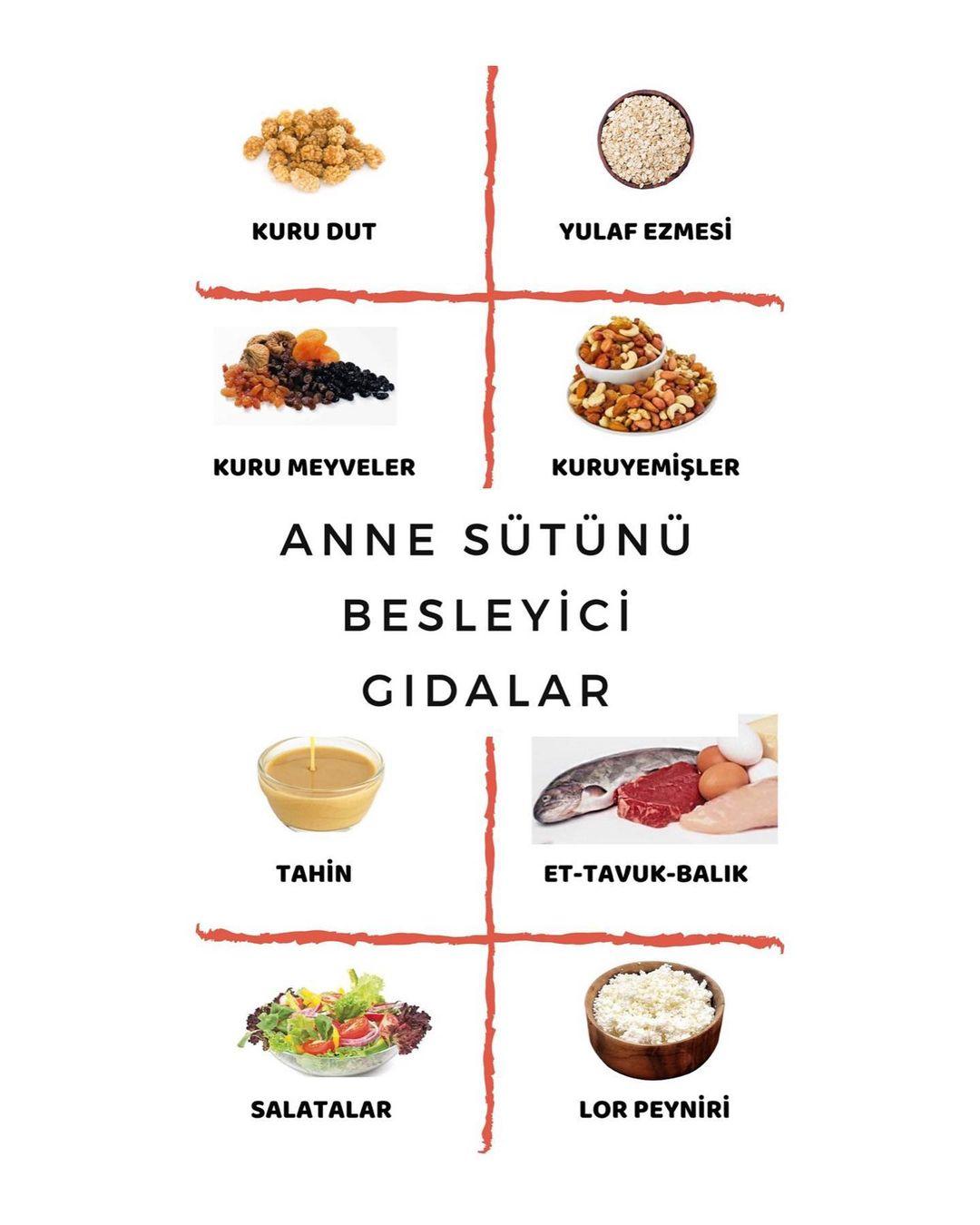ANNE SÜTÜNÜ BESLEYİCİ GIDALAR - DİYETİSYEN ECEM MULLAOĞLU - ANKARA