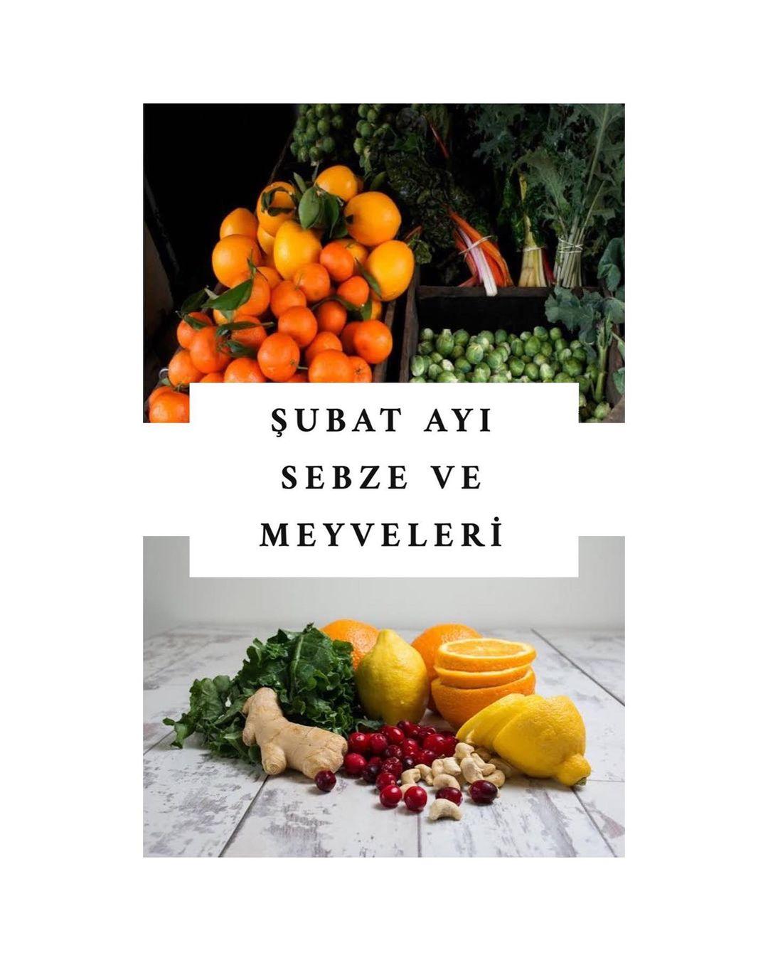 ŞUBAT AYI MEYVE VE SEBZELERİ