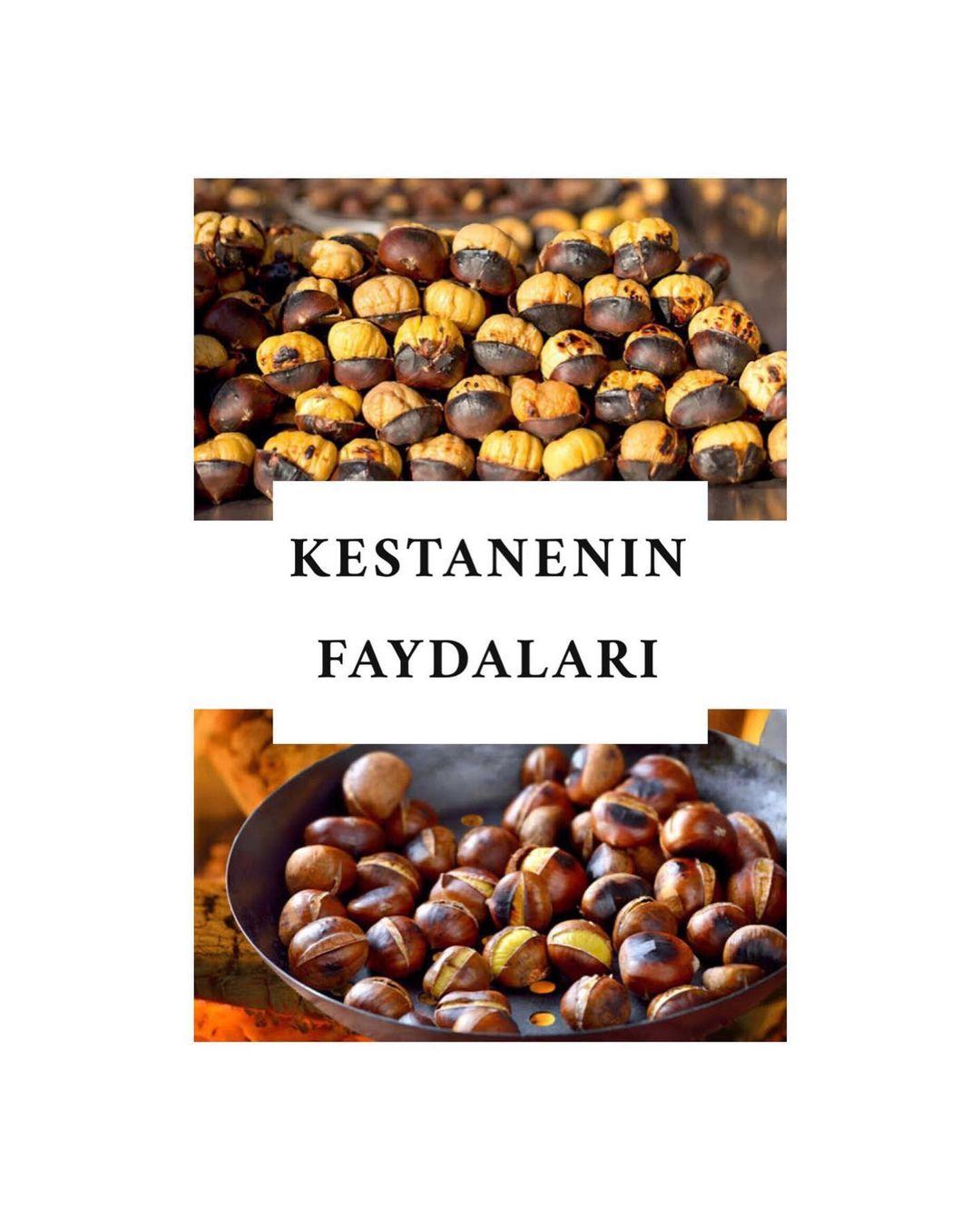 KESTANENİN FAYDALARI - DİYETİSYEN ECEM MULLAOĞLU - ANKARA