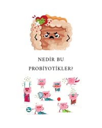 PROBİYOTİKLER 