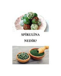 SPİRULİNA NEDİR? 