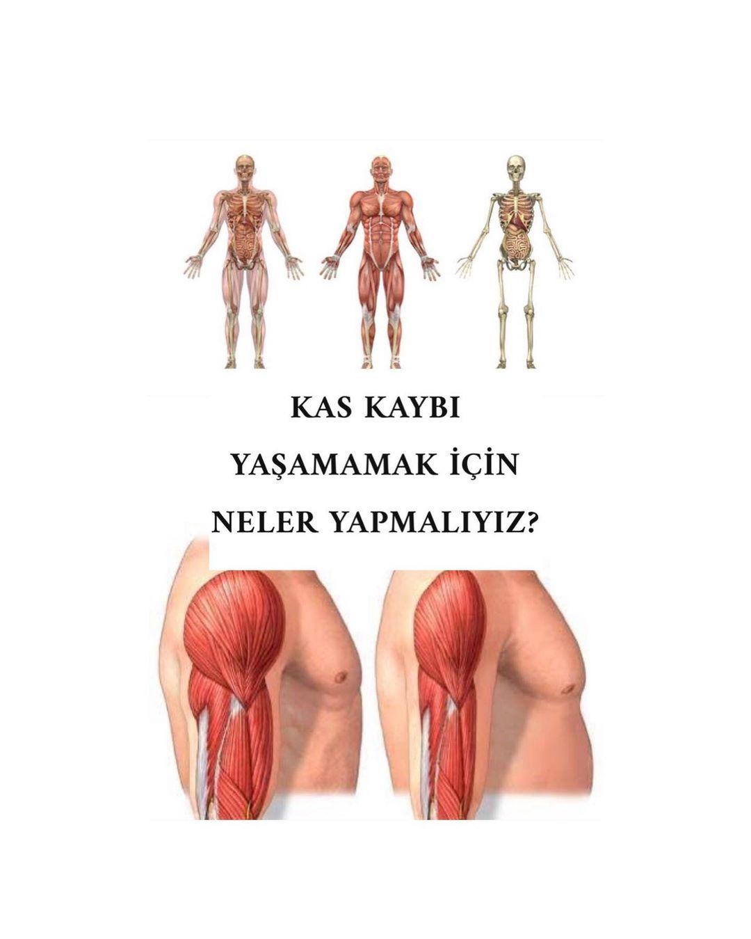 KAS KAYBI NEDİR?