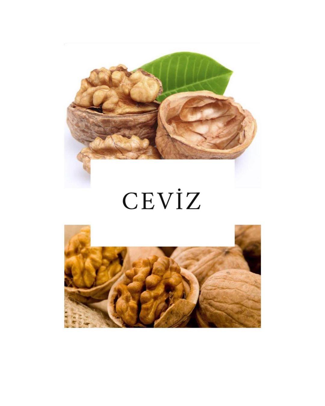 CEVİZ 