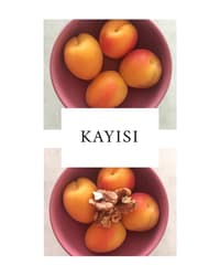 KAYISI - DİYETİSYEN ECEM MULLAOĞLU - ANKARA