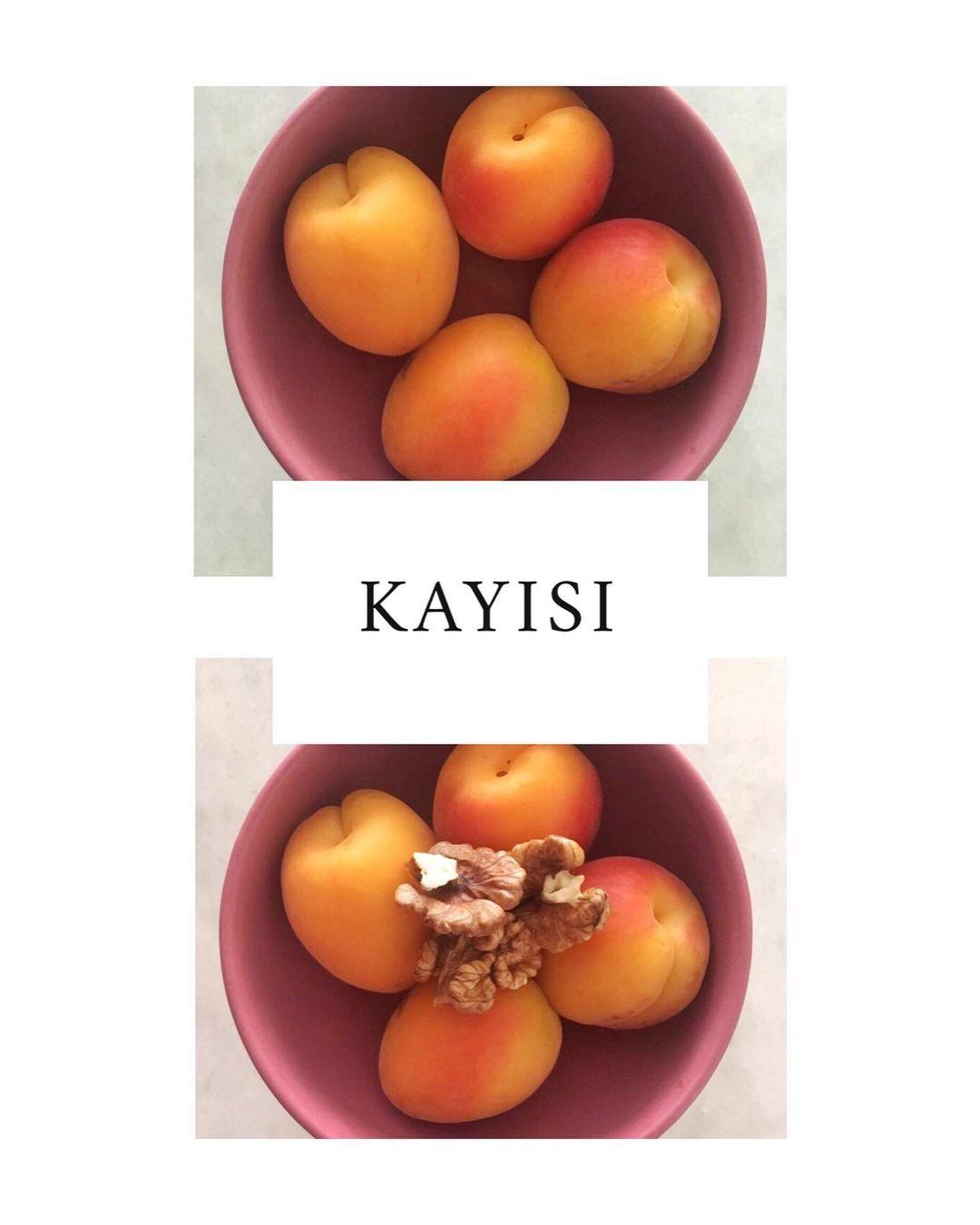 KAYISI - DİYETİSYEN ECEM MULLAOĞLU - ANKARA