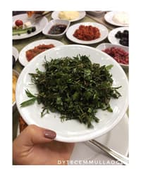 ZAHTER SALATASI - DİYETİSYEN ECEM MULLAOĞLU - ANKARA