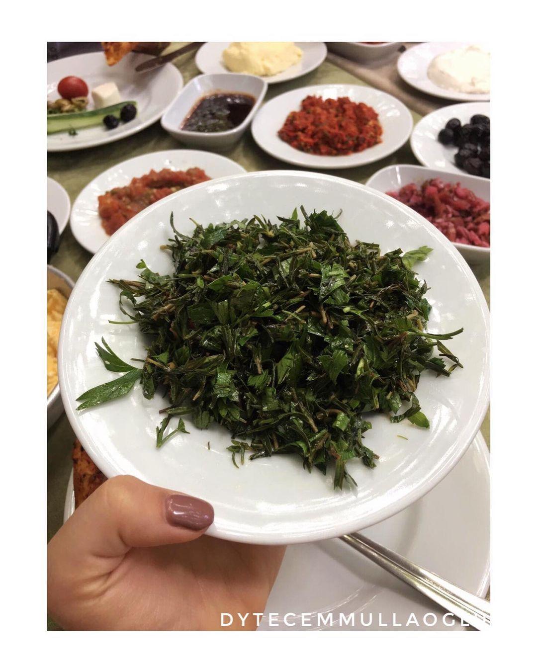 ZAHTER SALATASI - DİYETİSYEN ECEM MULLAOĞLU - ANKARA