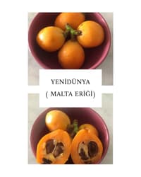 YENİDÜNYA - DİYETİSYEN ECEM MULLAOĞLU - ANKARA