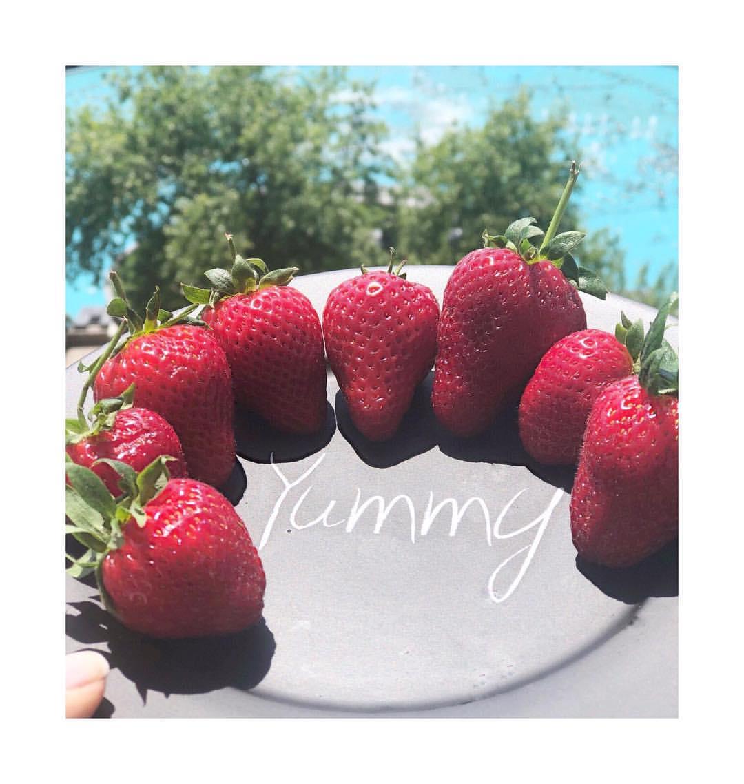 ÇİLEK FAYDALARI - DİYETİSYEN ECEM MULLAOĞLU - ANKARA