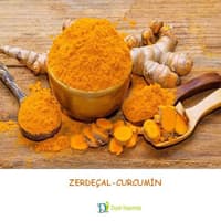 ZERDAÇAL-CURCUMİN 
