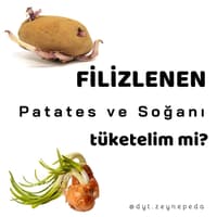BU SEBZELER NEDEN FİLİZLENİYOR 
