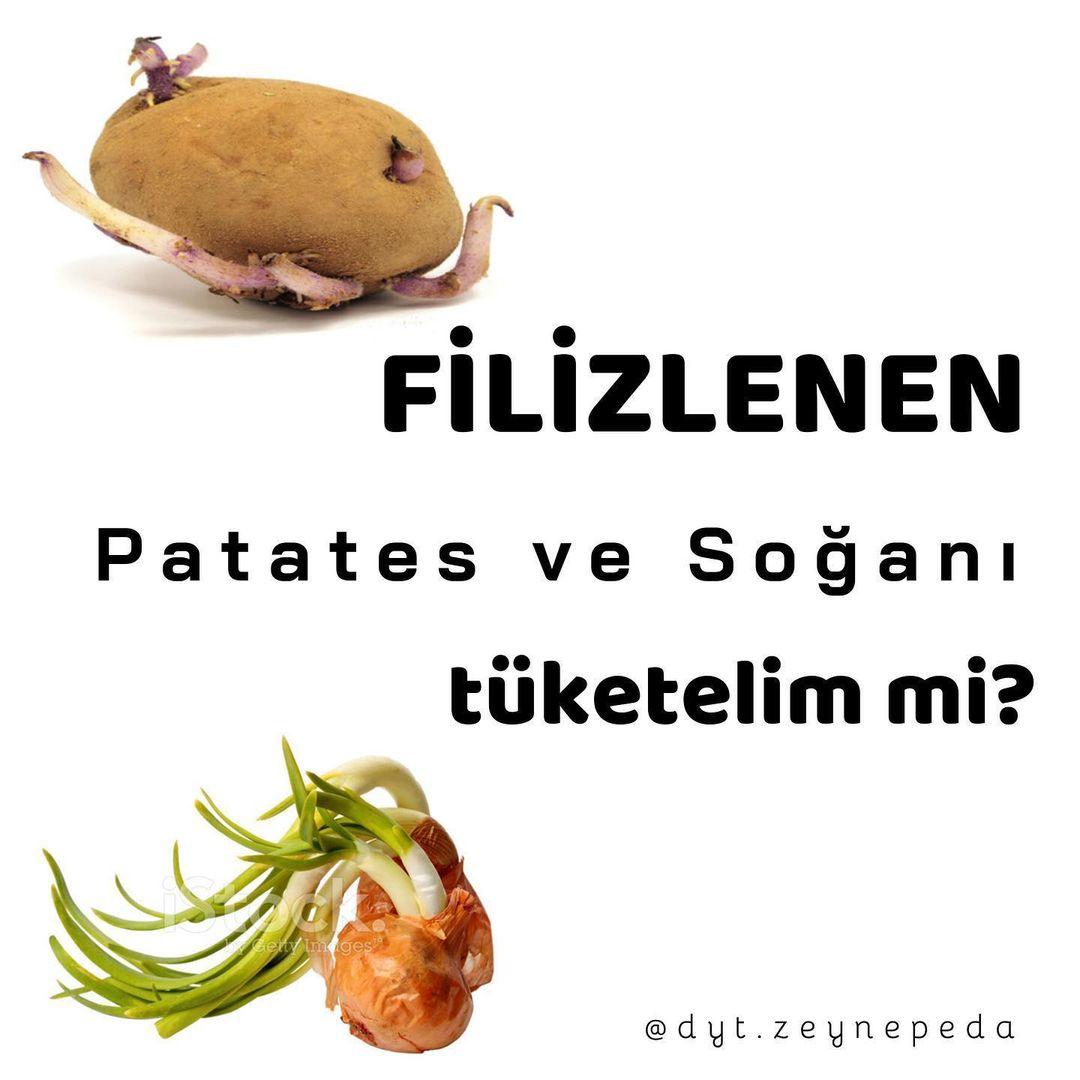 BU SEBZELER NEDEN FİLİZLENİYOR 