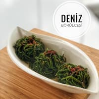 DENİZ BÖRÜLCESİ
