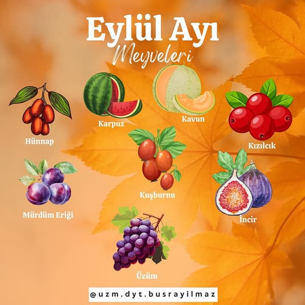 Uzman Diyetisyen Büşra Yılmaz - 21. Fotoğraf Uzman Diyetisyen Büşra Yılmaz - 21. Fotoğraf